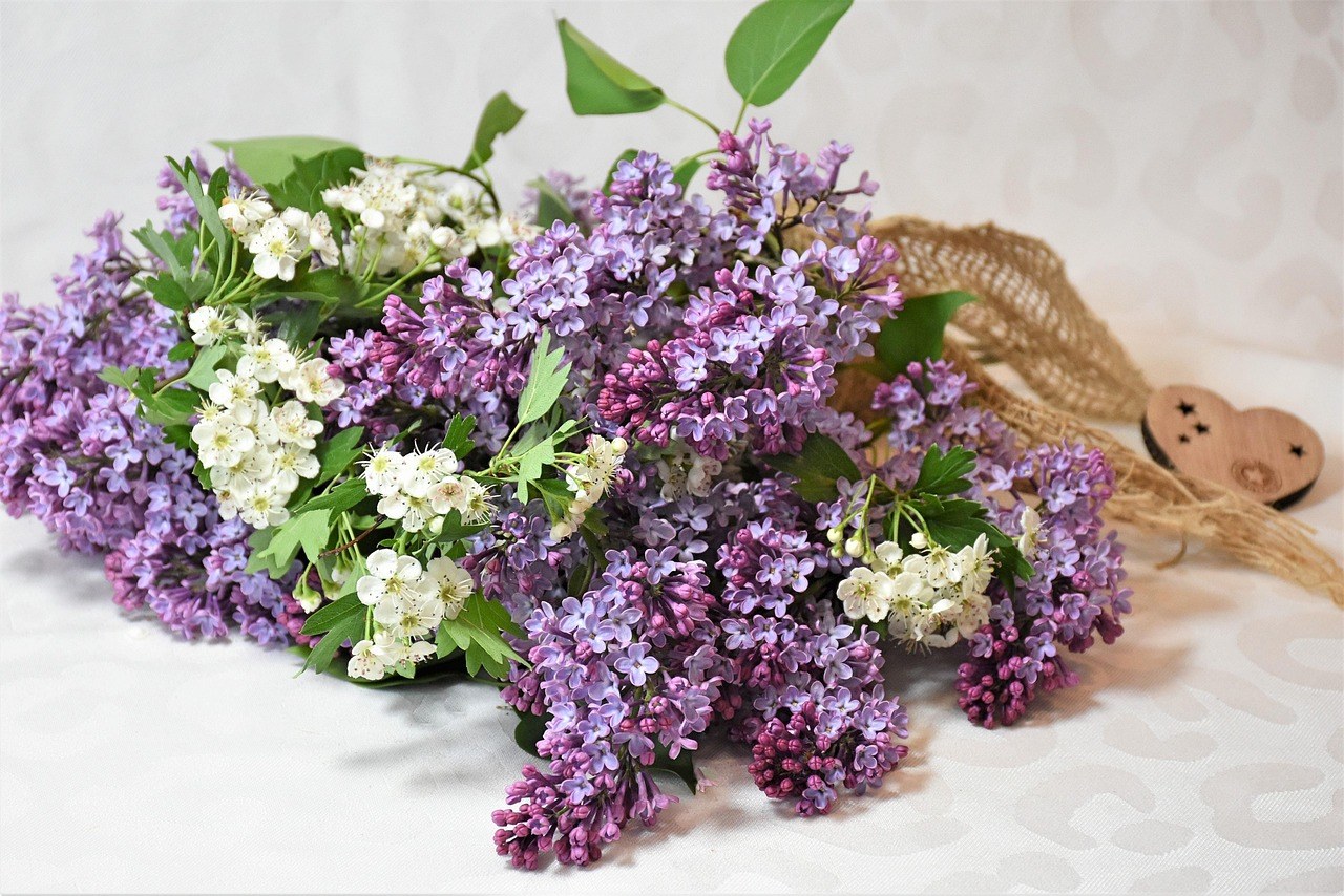 Kako napisati profil za upoznavanje: 18 ključnih savjeta za istaknuti se