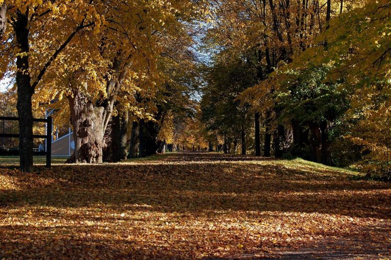 31 tajna za blowjob : zašto žene odbijaju i kako osigurati da u tome uživa