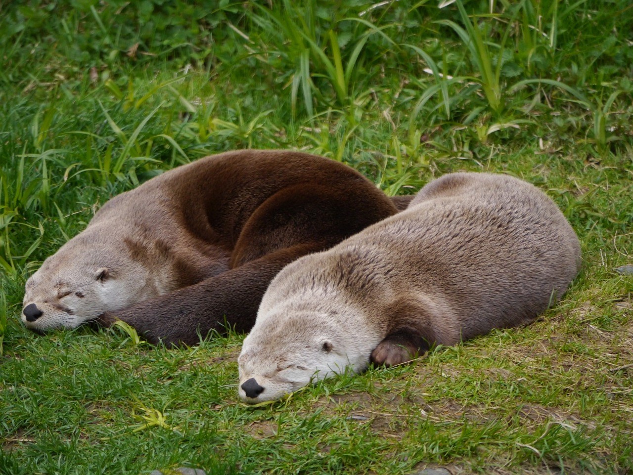 Veza bez povjerenja: može - ili treba - opstati?