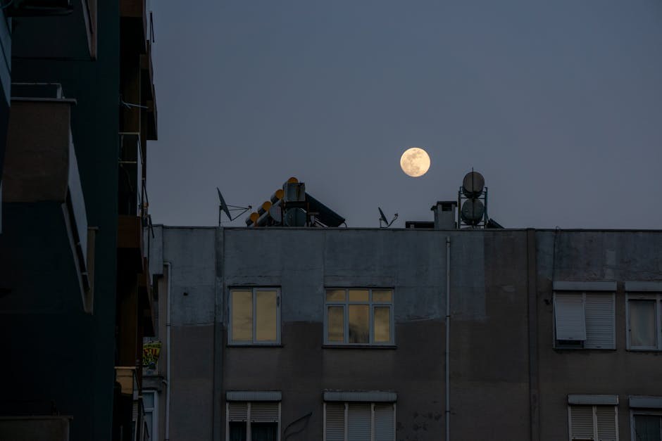 Što je dopamin? Najbolja pilula užitka u tebi