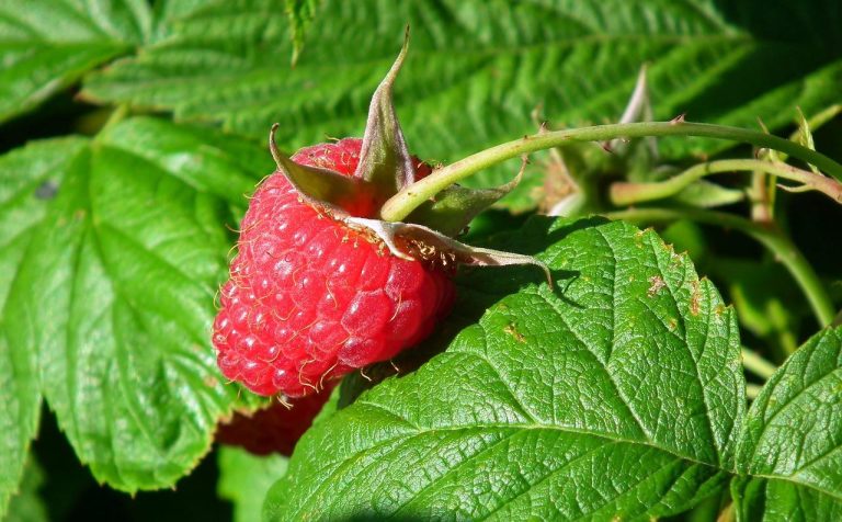 35 velikih znakova da pravilo bez kontakta radi za vas, čak i ako im nedostajete