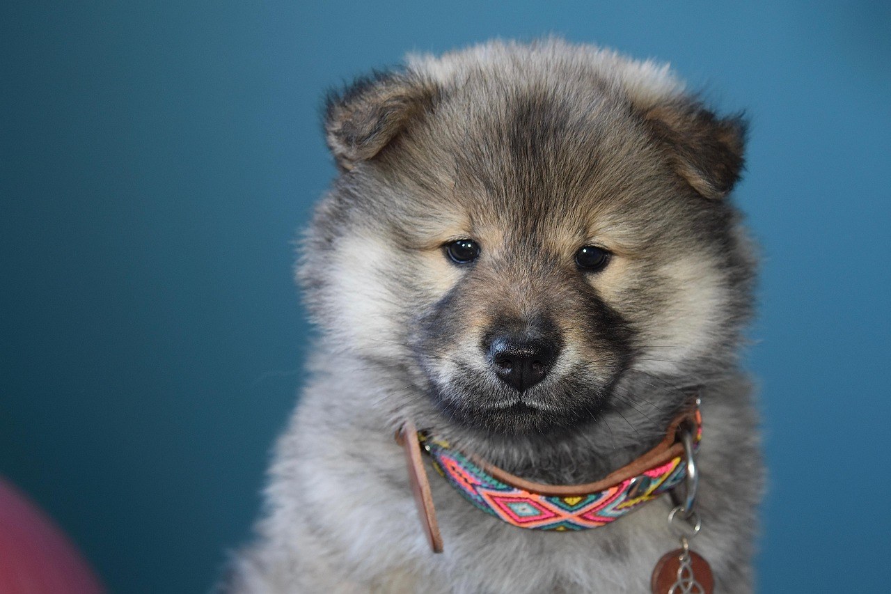 Pleylista za tugu: 10 pjesama koje liječe slomljeno srce