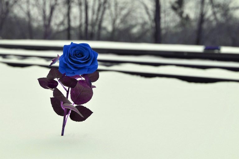 Izlasci s perfectionist osobom: 12 stvari koje treba znati prije spoja