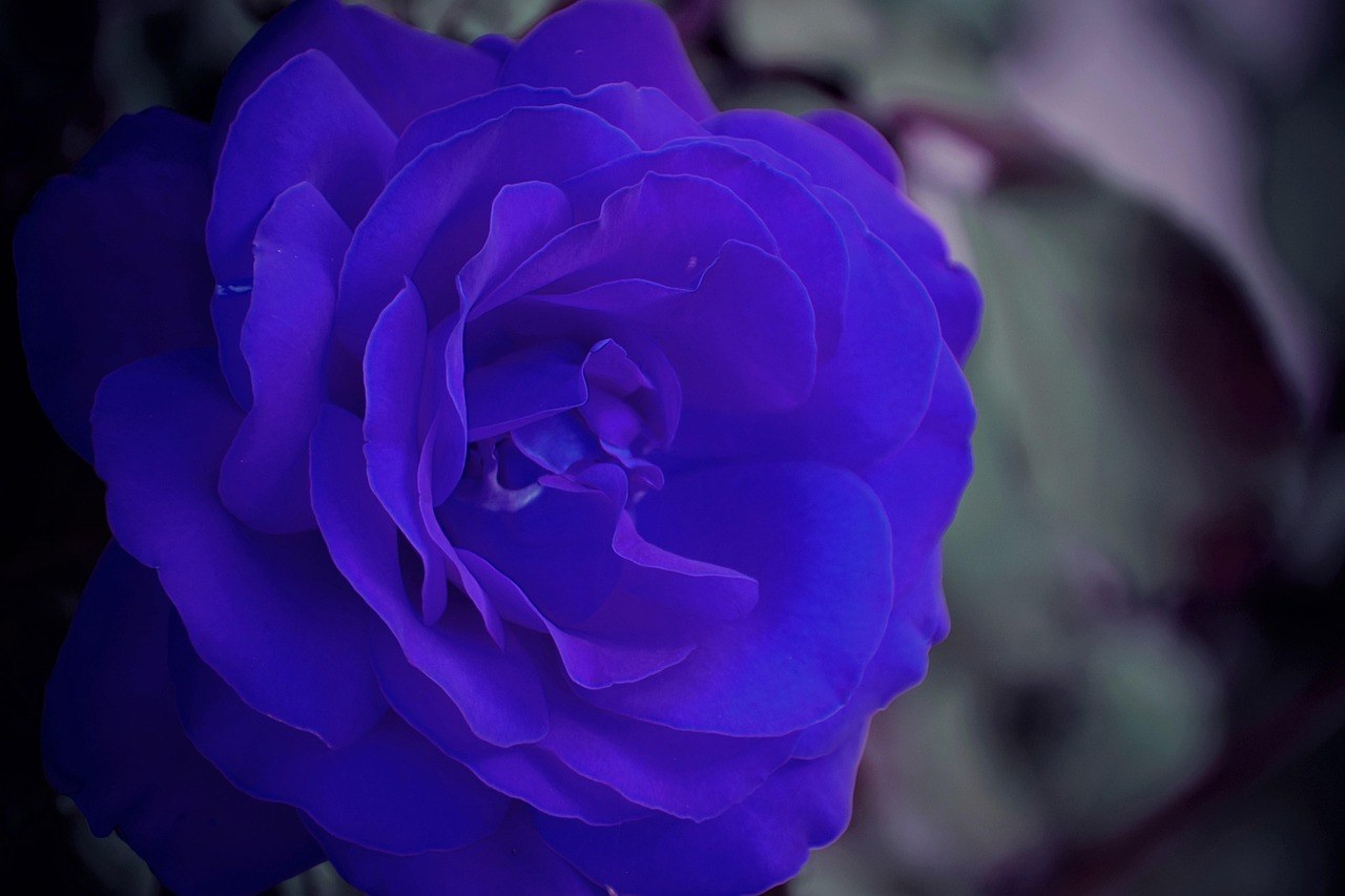 67 slatkih, malih romantičnih gesta koje pokazuju ljubav na najveći način