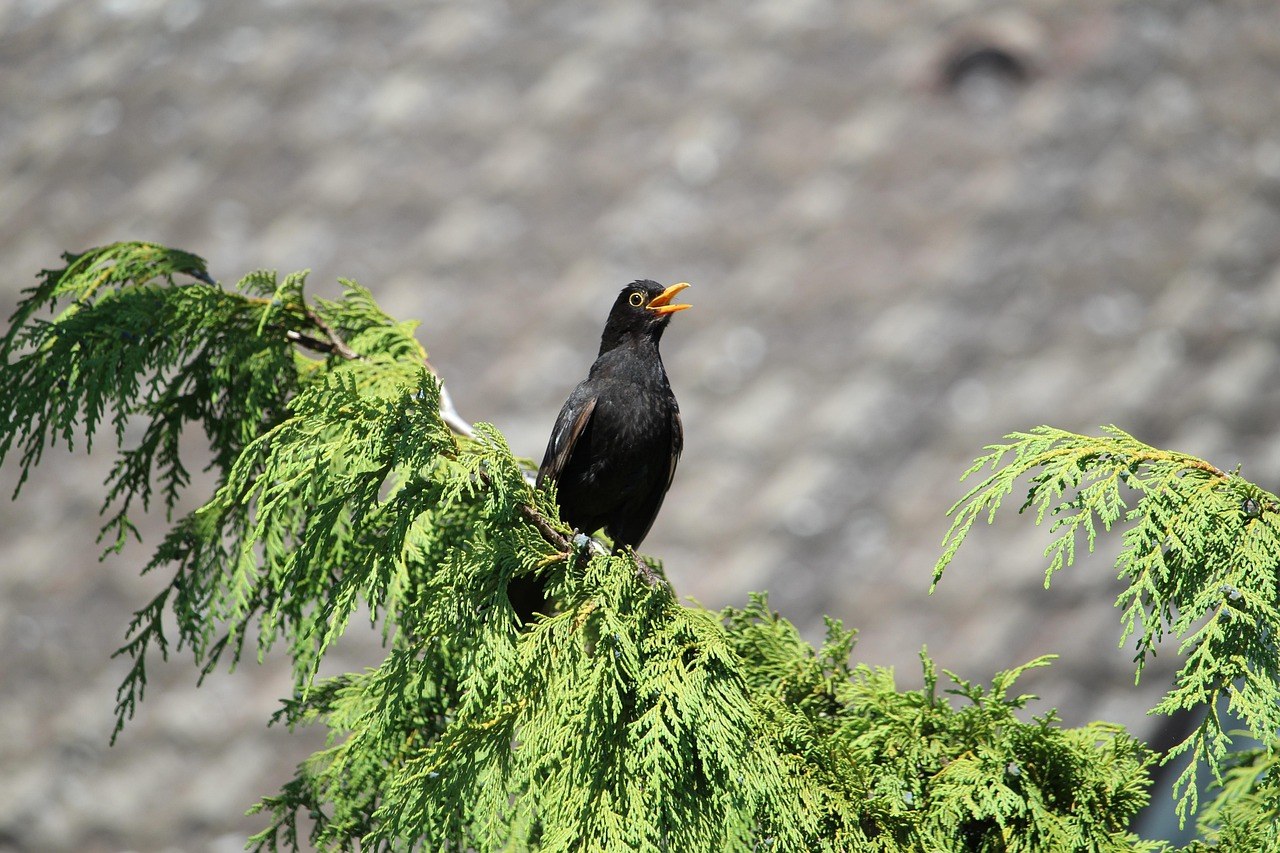 Kako ne biti dosadan i potaknuti ljude da jedva čekaju razgovarati i biti uz tebe