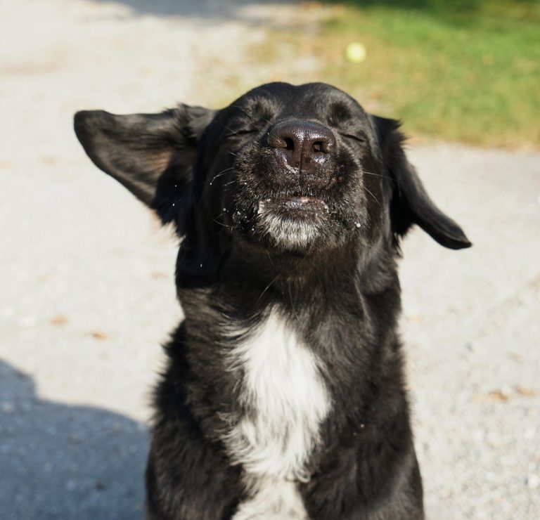 16 vrućih razloga za slow sex i savjeti kako ga doživjeti