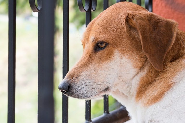 Varam li? - 8 znakova da to radite nenamjerno