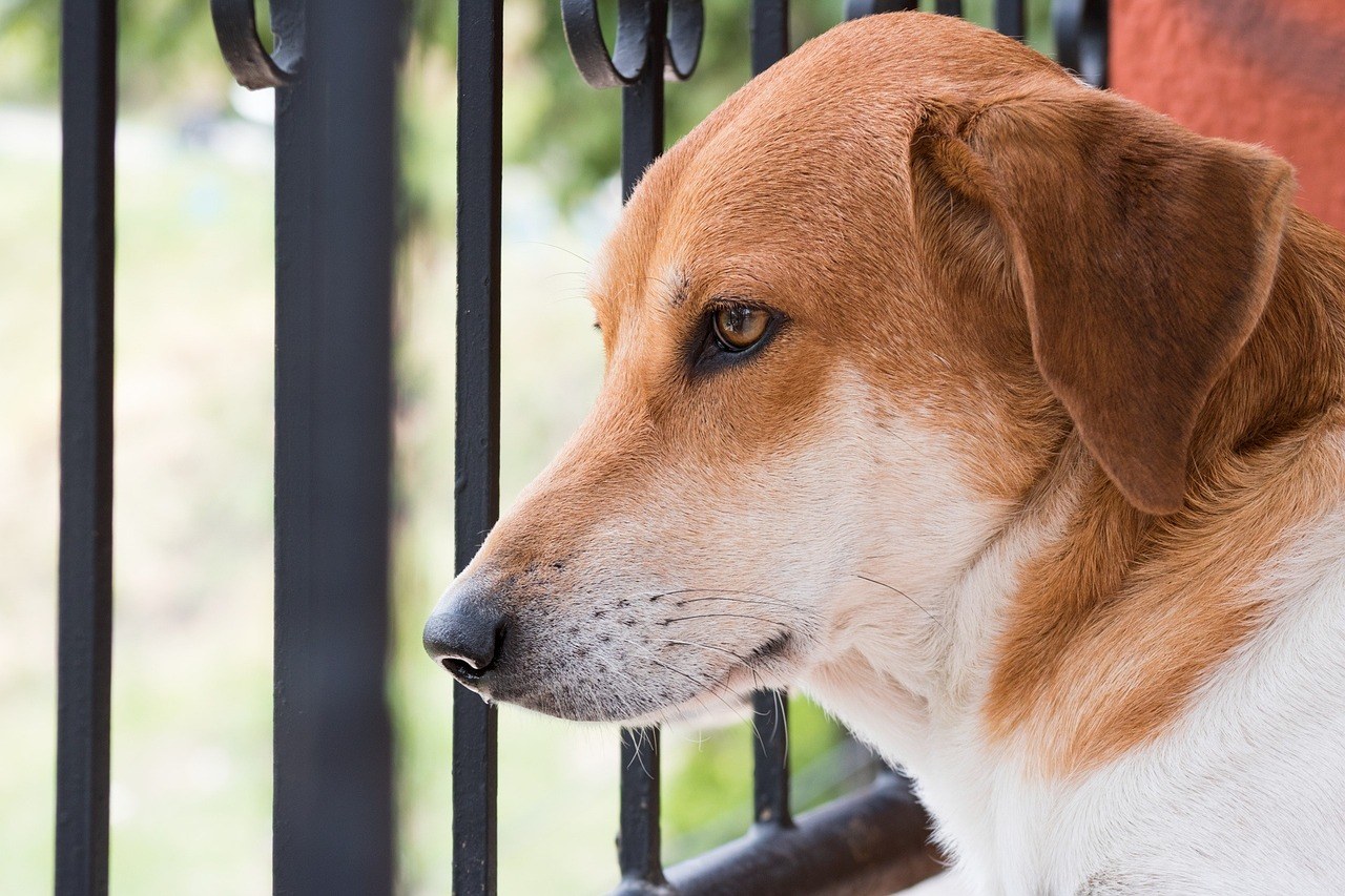 Varam li? - 8 znakova da to radite nenamjerno