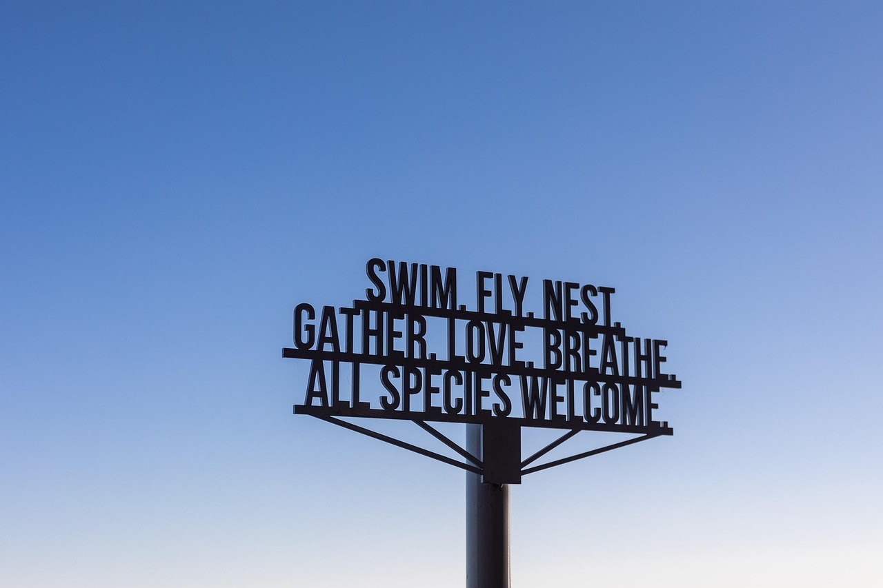 Kako natjerati djevojku da pošalje nudes i uzbuditi je da to želi učiniti