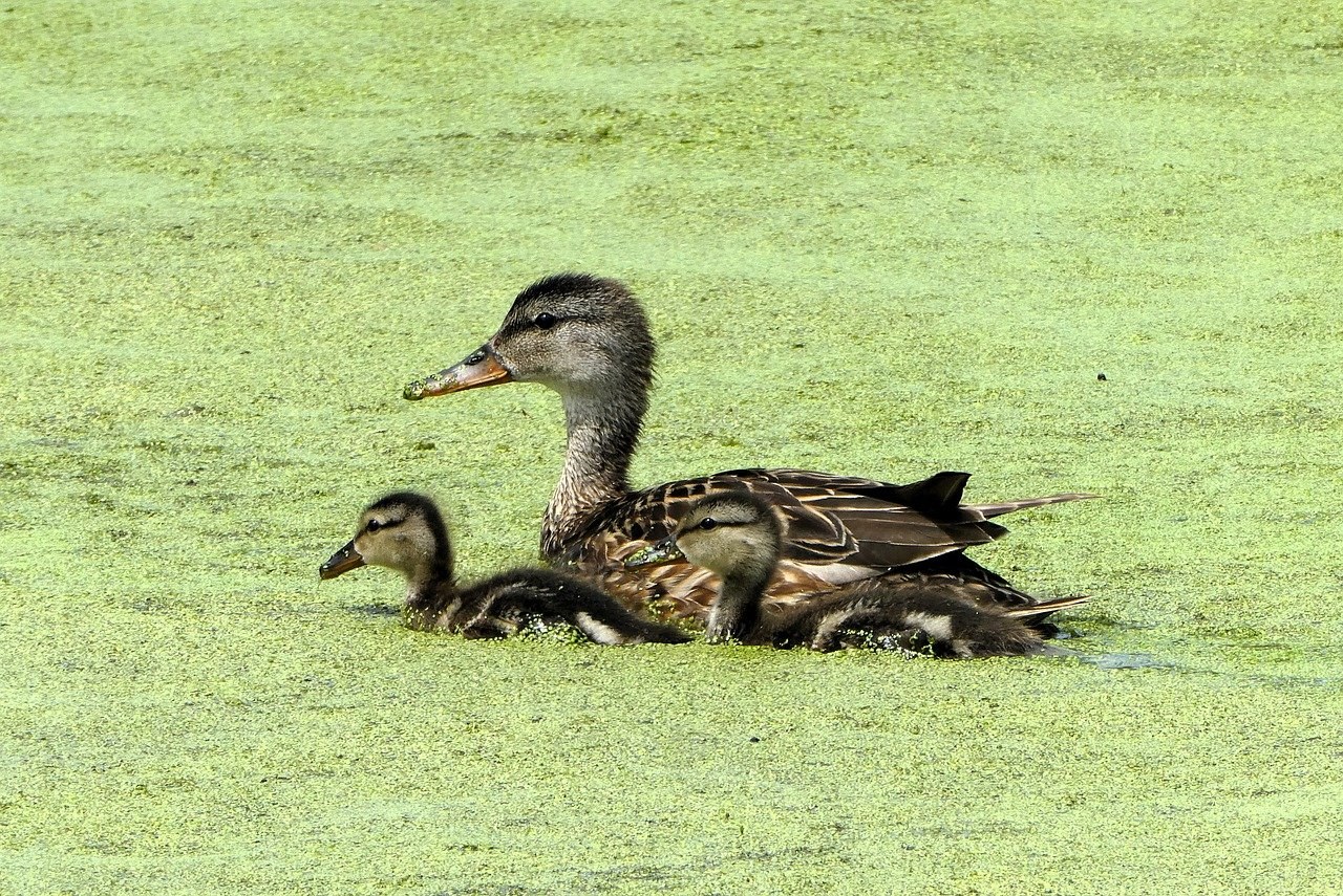 17 načina za beautiful sex i trenutačnu seksualnu povezanost