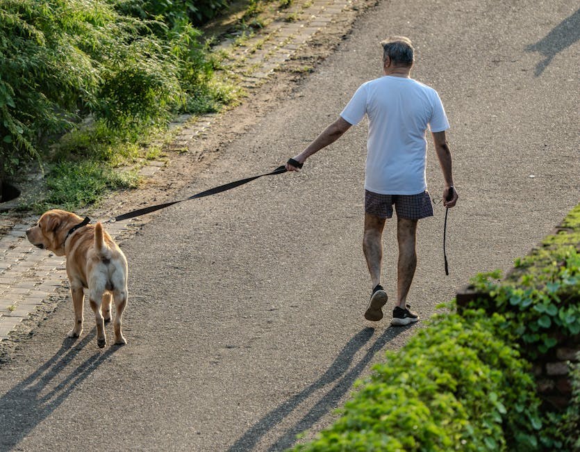 Azijska happy ending masaža: što je to i moje prvo iskustvo