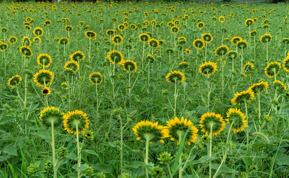 Treba mi seks! 13 znakova da je visoki libido prerastao u sexual addiction