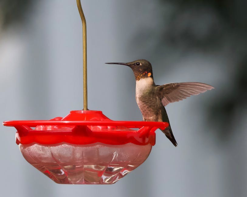 queef i ostalo: 19 neugodnih stvari koje mogu poći po zlu tijekom seksa