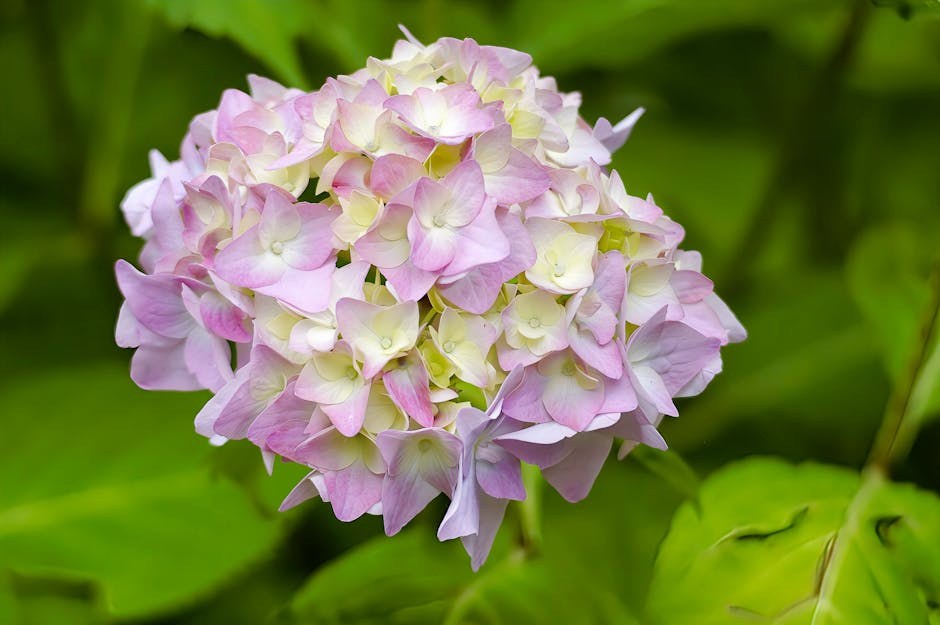 queef i ostalo: 19 neugodnih stvari koje mogu poći po zlu tijekom seksa