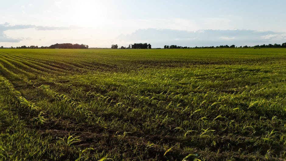 13 domaćih seks igračaka koje morate isprobati: sami ili s partnerom