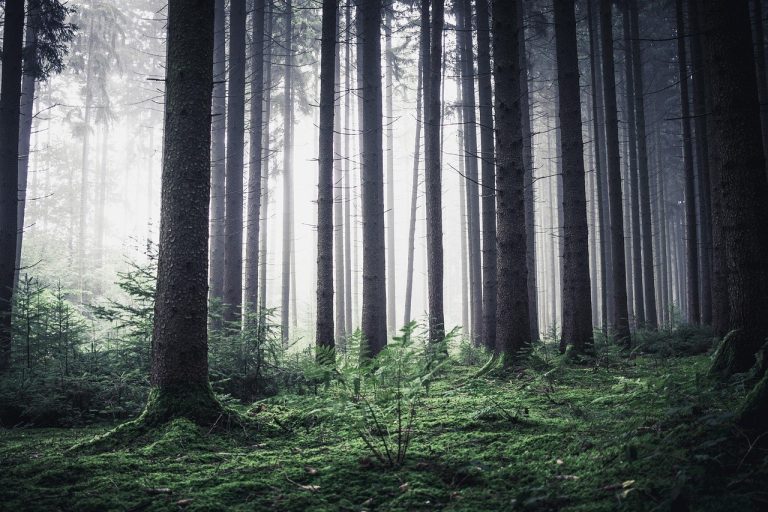 Što je cuckold humiliation : psihologija, granice i sigurna komunikacija