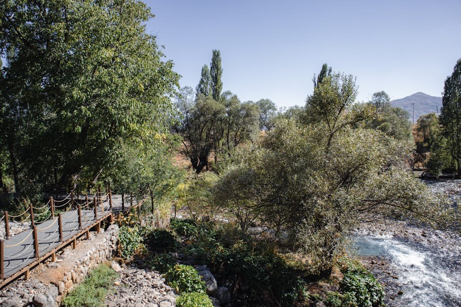 Što je cuckold humiliation : psihologija, granice i sigurna komunikacija