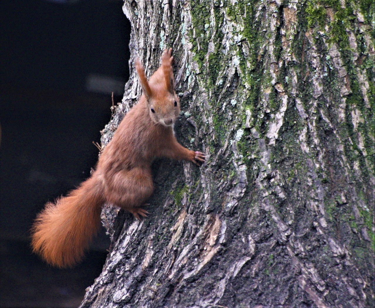 15 najseksi filmova na Netflix - savršeno za Netflix and chill i dobar turn on