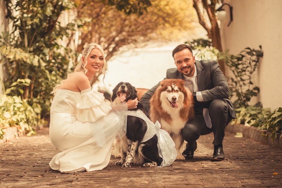 Feminist porn : razotkrivanje lažnog i slavljenje ženske seksualnosti