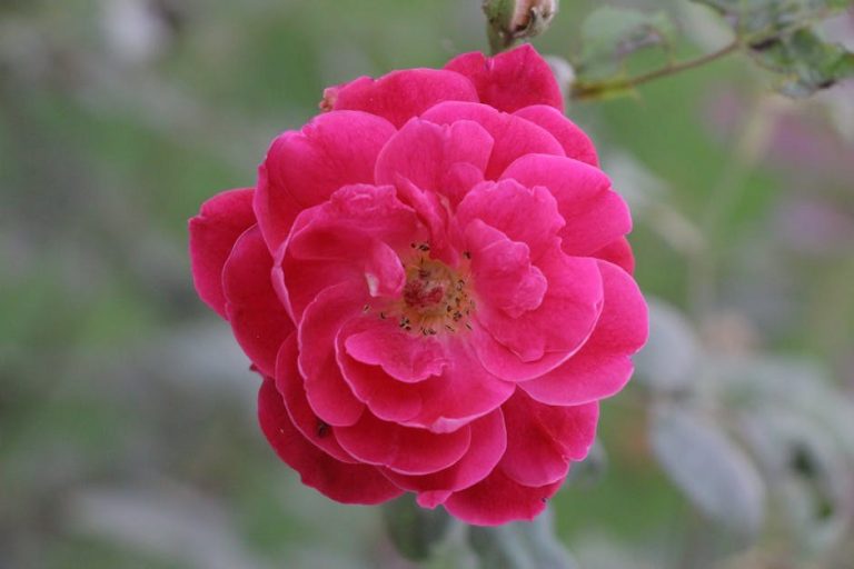 99 smiješnih i ludih pitanja za dečka koja otkrivaju tvoju zabavnu i razigranu stranu