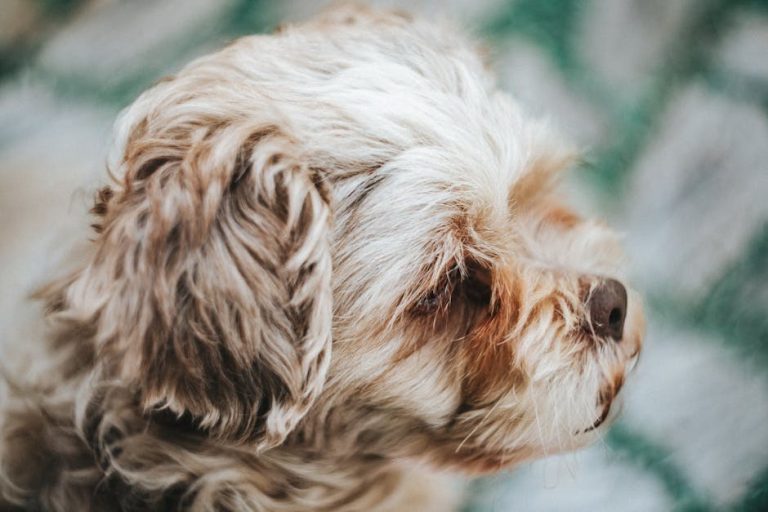 Narcisoidni dečko: 28 znakova i načini kako se nositi s narc guy ili ga ostaviti