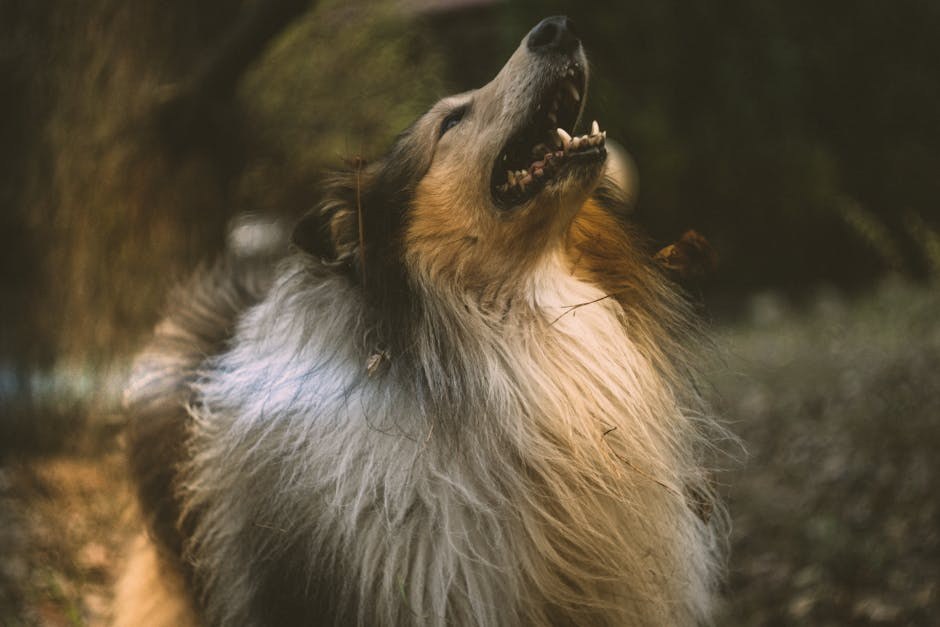 Narcisoidni dečko: 28 znakova i načini kako se nositi s narc guy ili ga ostaviti