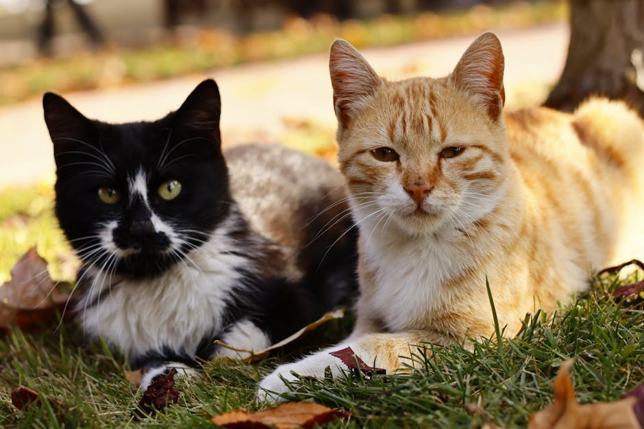 Narcisoidni dečko: 28 znakova i načini kako se nositi s narc guy ili ga ostaviti