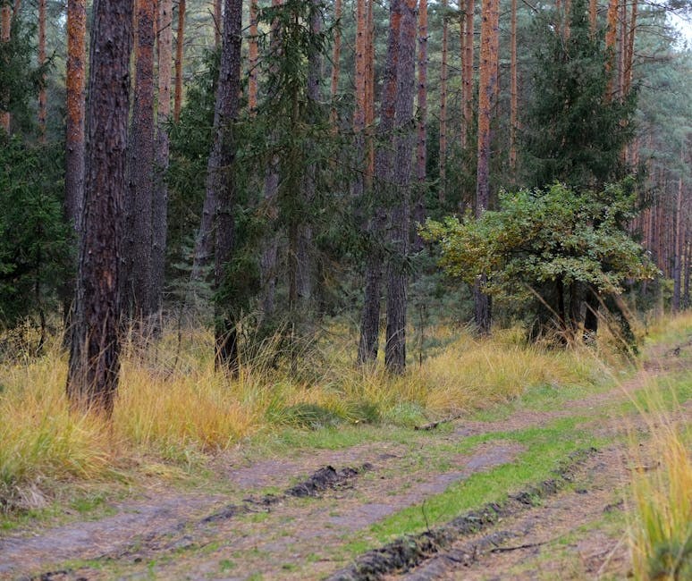 35 super samouvjerenih načina da budeš bitch i preuzmeš kontrolu nad svojim životom