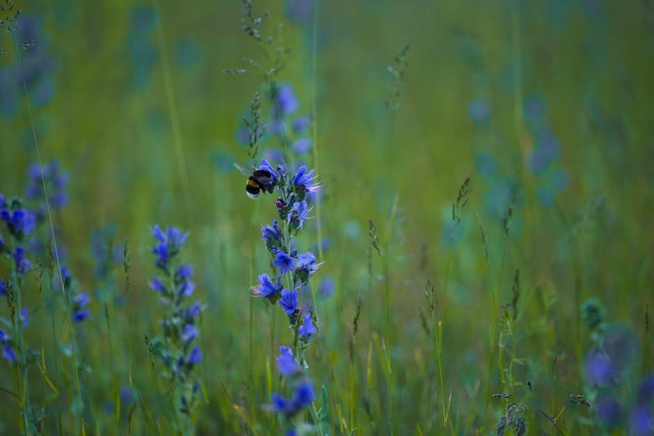 35 super samouvjerenih načina da budeš bitch i preuzmeš kontrolu nad svojim životom