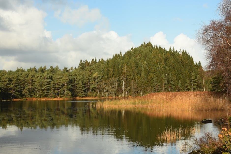 23 opuštena načina da napraviš prvi potez na dečku i probudiš njegovu želju