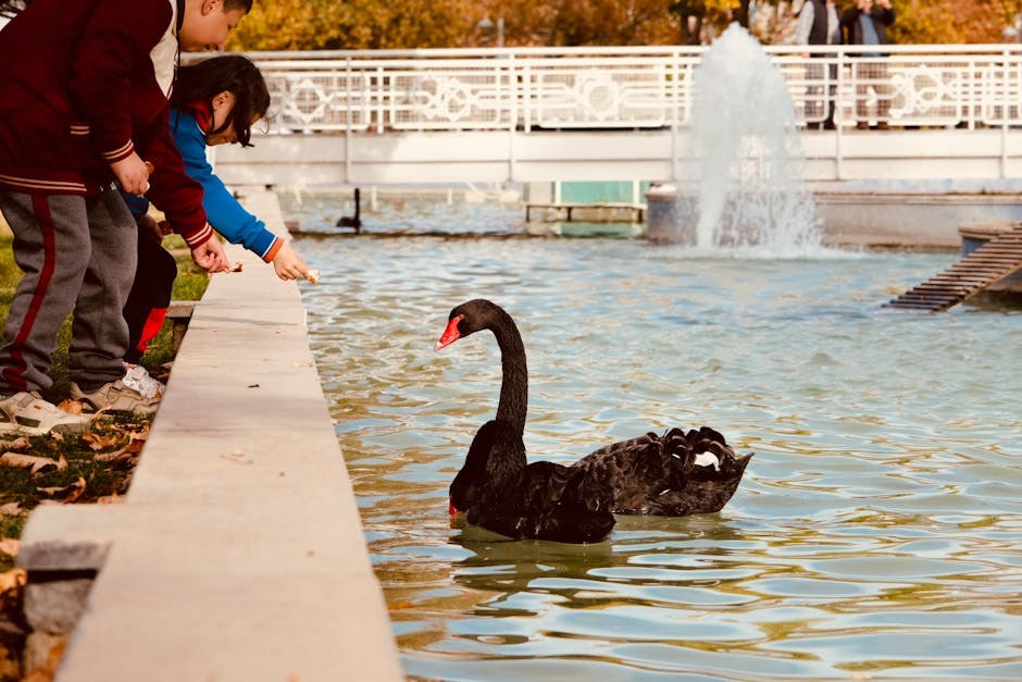 Sindrom Petra Pana: što je, 31 djetinjasti znak i kako odrasti što prije