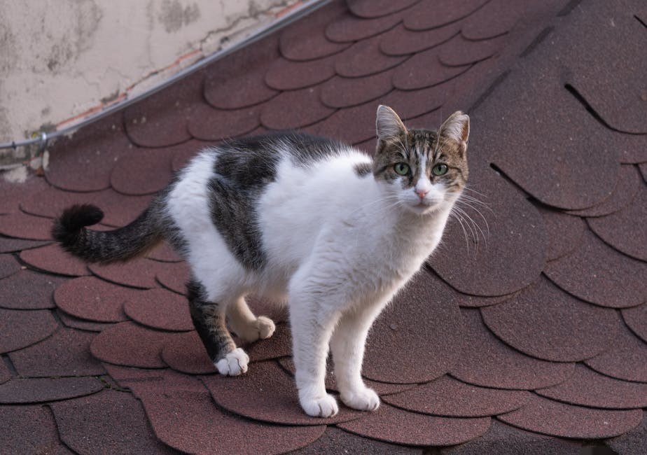 20 slatkih načina kako se ispričati dečku i ispraviti stvar nakon što ste ga povrijedili