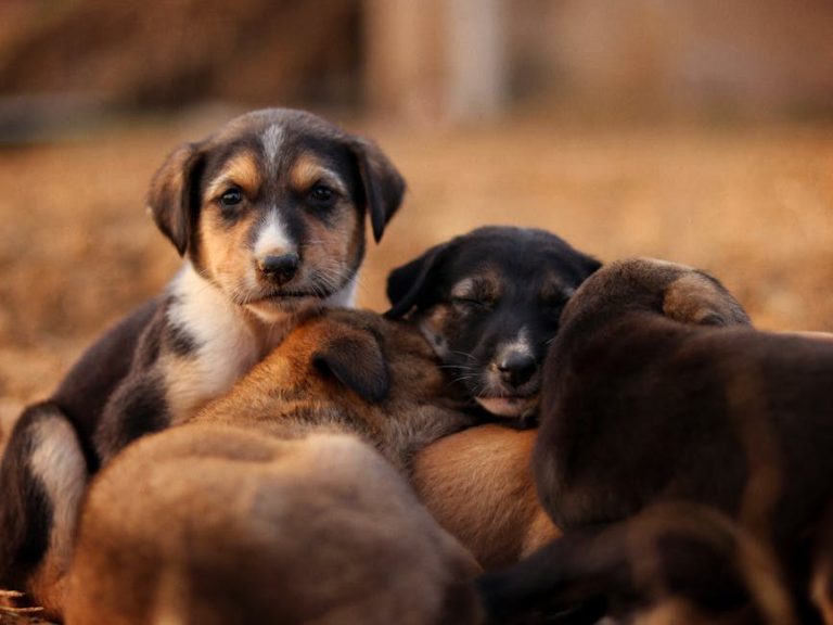 21 znak da je vrijeme prestati slati poruke muškarcu