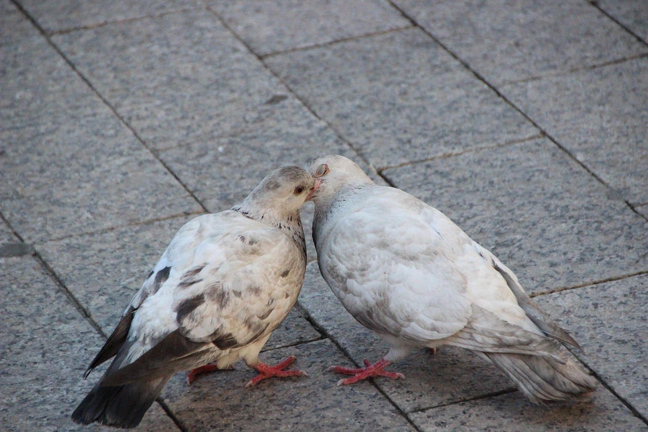 36 jednostavnih i senzualnih načina da zadržiš njegov interes i da želi biti s tobom